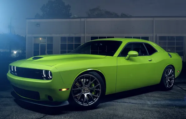 Picture Muscle, Dodge, Challenger, Hell, Car, Green, Color, Cat, American, SRT