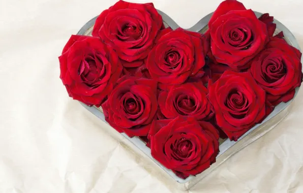 Picture flower, love, flowers, nature, gift, heart, roses, bouquet, red, heart, recognition