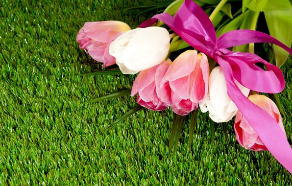 Picture grass, lawn, bouquet, tape, tulips, bow