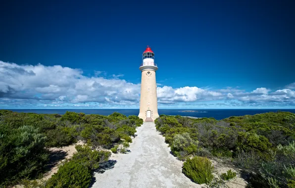 Picture clouds, the ocean, coast, lighthouse, Australia, the bushes, Australia, Lighthouse, Kangaroo Island