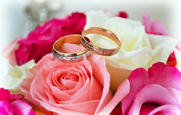 Picture roses, bouquet, ring, wedding, celebration, marriage