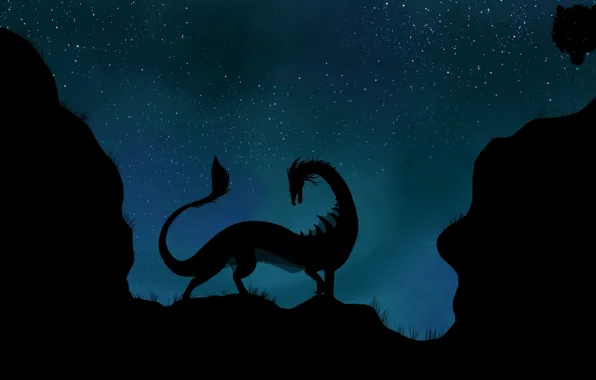 Picture stars, night, dragon, silhouette, tail