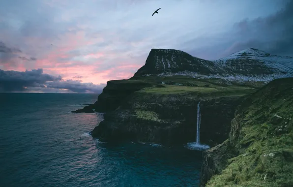 Picture sea, mountains, the ocean, rocks, bird, waterfall, village, Faroe Islands