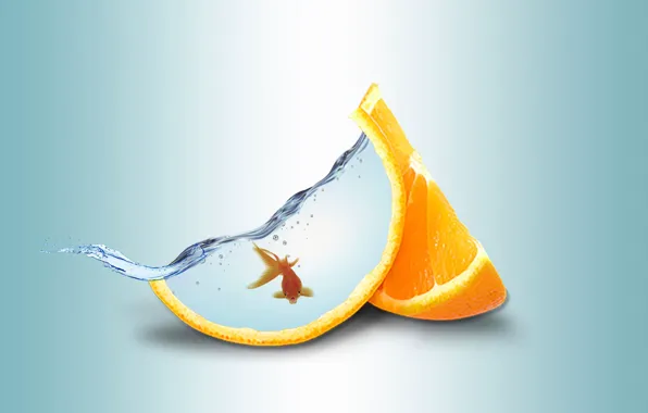 Picture water, orange, goldfish
