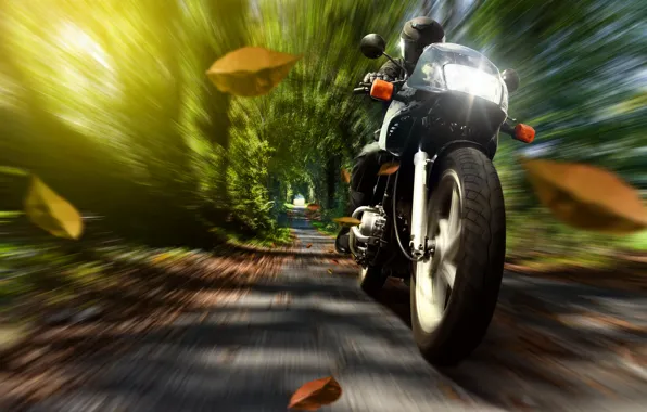 Picture autumn, leaves, nature, speed, motorcycle, helmet, motorcyclist