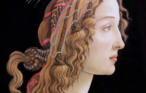 Sandro Botticelli Wallpaper  照片图像