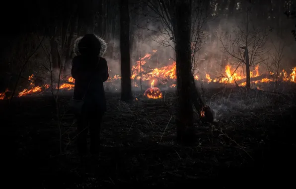 Picture forest, look, girl, nature, the fire, pumpkin, fire, girl, forest, nature, look, pumpkin, hallowen, wildfire, …