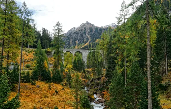 Picture autumn, forest, mountains, bridge, river, slope, arch