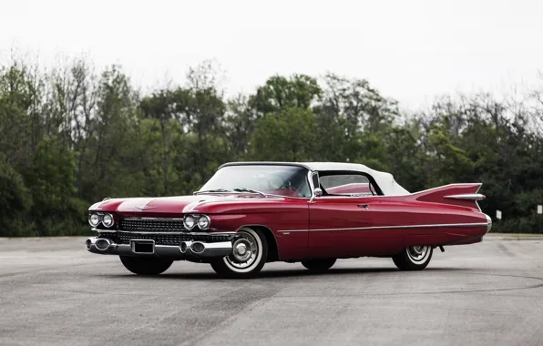Picture Cadillac, Cadillac, Convertible, 1959, Sixty-Two