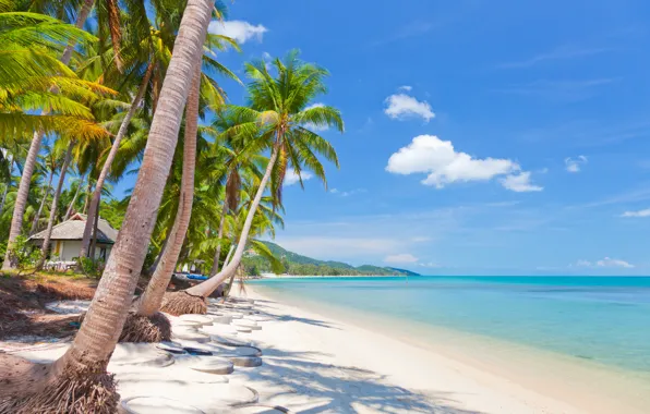 Picture sand, sea, the sky, clouds, landscape, nature, tropical beach, Thailand, beautiful, Thailand, tropical, sky, sea, …
