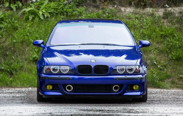 Picture blue, reflection, bmw, BMW, blue, the front, e39