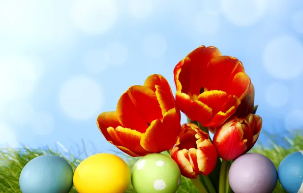 Picture grass, flowers, eggs, spring, colorful, Easter, tulips, flowers, tulips, spring, painted, eggs, easter