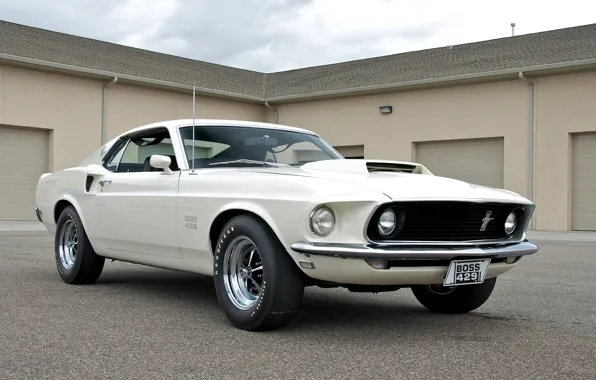 Picture white, mustang, Mustang, 1969, white, ford, muscle car, Ford, muscle car, boss, boss, 429