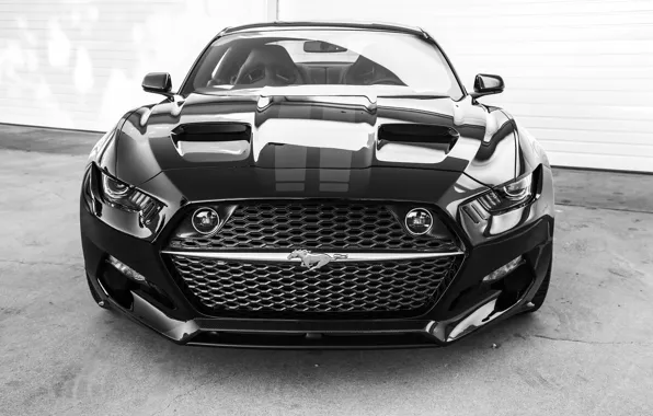 Picture Mustang, Ford, Mustang, Ford, Rocket, 2015, Galpin, Auto Sports
