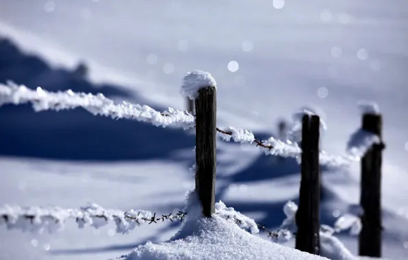 Picture winter, snow, nature, the fence, nature, winter, snow, fence