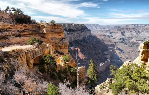 Picture the sky, clouds, trees, mountains, rocks, canyon, USA, Arizona, Grand Canyon
