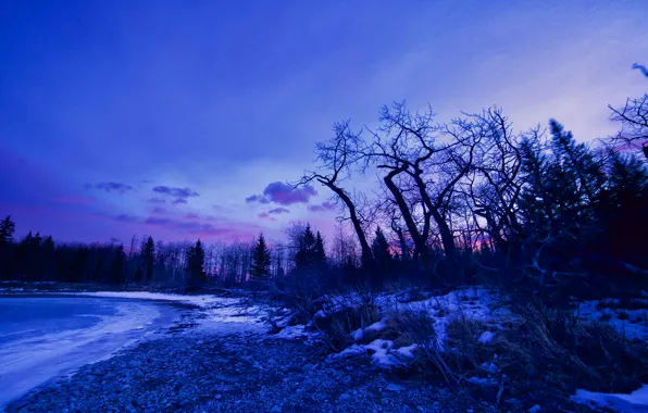 Picture winter, snow, trees, lake, dawn, glow