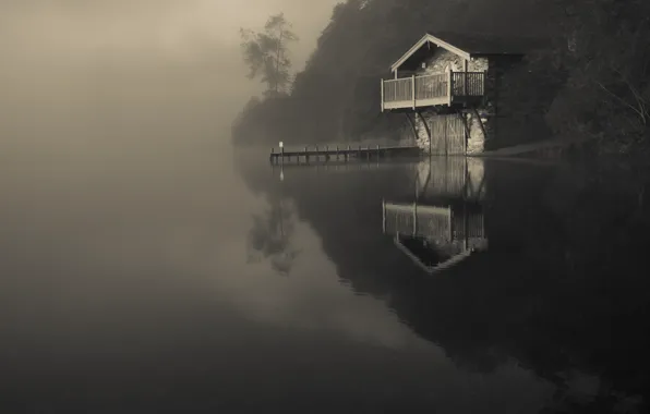 Picture nature, fog, reflection, river, the darkness, boat