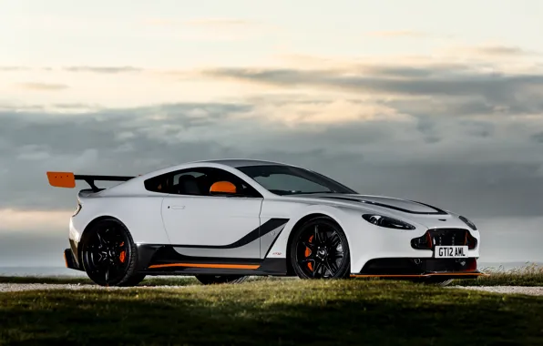 Picture Aston Martin, Vantage, side, V12, view, GT12