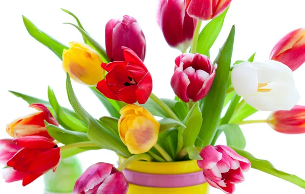Picture flowers, bright, beauty, bouquet, petals, tulips, red, vase, red, pink, white, white, colorful, yellow, pink, …