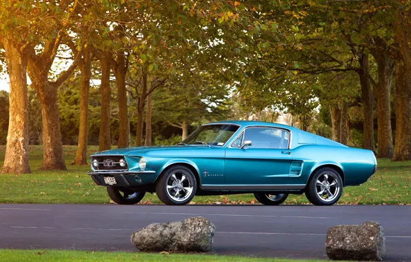 Picture trees, stone, Mustang, Ford, 1967, Fastback, side