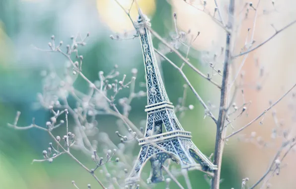 Picture branches, Eiffel tower, paris