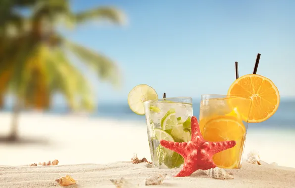 Picture sand, sea, beach, summer, the sun, stay, orange, lime, shell, summer, beach, cocktails, drink, vacation, …