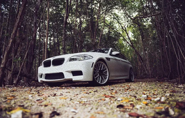 Picture BMW, Leaves, BMW, White, Tuning, F10