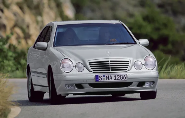 Picture Mercedes-Benz, Mercedes, E-class, E-Class, 1999, E-class, W210, Executivklasse, Lupato, Eyed