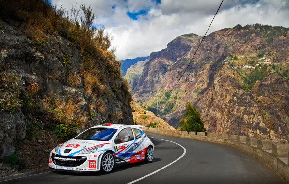 Picture Road, Mountains, White, Sport, Peugeot, WRC, Rally, Rally, 207