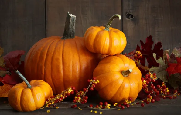 Picture autumn, harvest, pumpkin