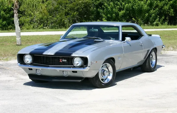 Picture Chevrolet, 1969, camaro, muscle, classic, z28