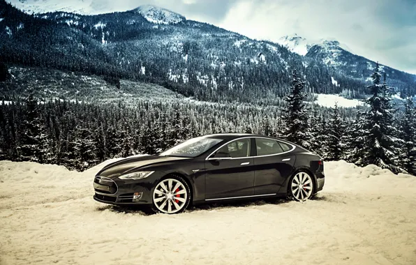 Picture Tesla, Model S, 2014, Tesla, P85D