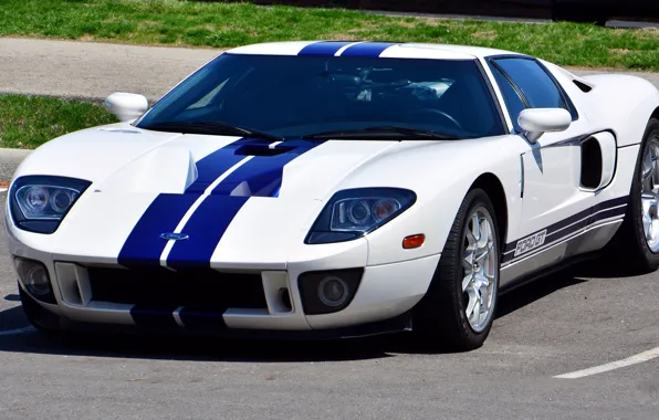Picture Ford, Blue, White, Stripes, gt