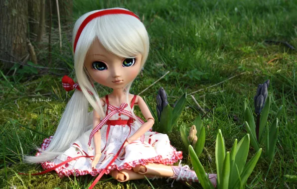 Picture toy, spring, doll, crocuses
