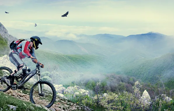 Picture mountains, birds, bike, people, helmet