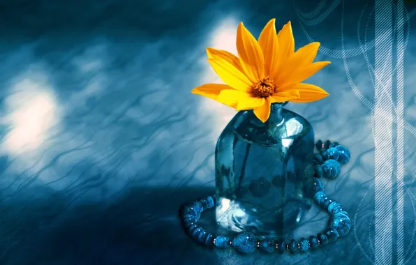 Picture Flower, Blue, Yellow, Bottle