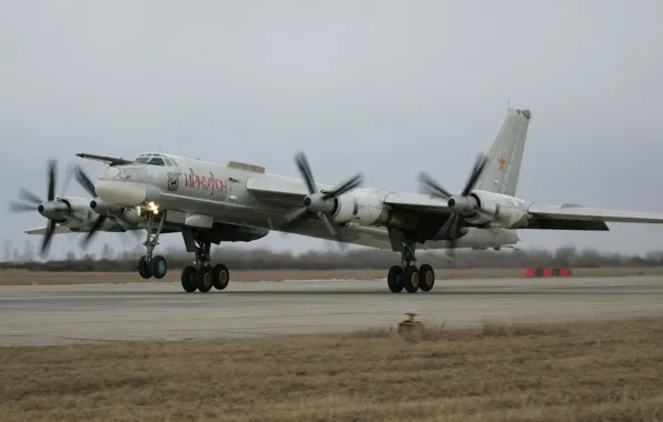 Picture bear, bomber, landing, Strategic, Tu-95MS