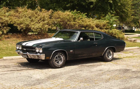 Picture Chevrolet, car, Chevrolet, muscle car, Chevy, Chevelle