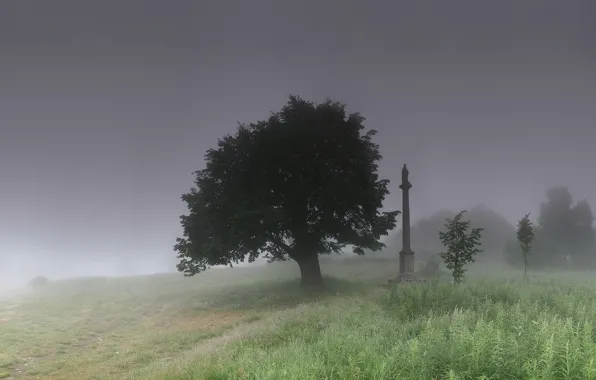 Picture grass, fog, tree, monument