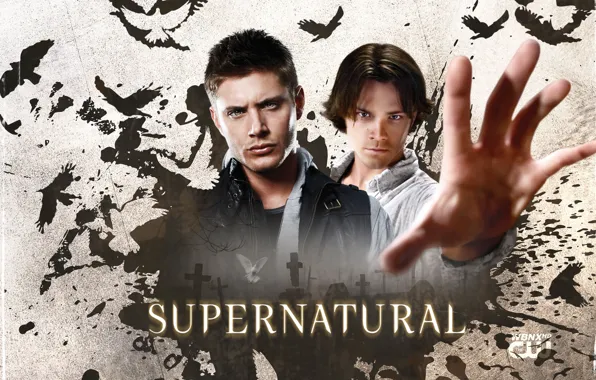 Picture the series, guys, brothers, men, supernatural, supernatural, jensen ackles, Jensen ackles, Dean and Sam Winchester, …