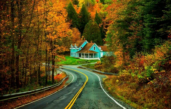 Picture road, autumn, forest, grass, leaves, trees, nature, house, Park, colors, colorful, house, grass, forest, road, …