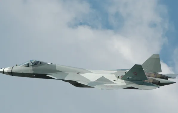 Picture the sky, the plane, fighter, Multipurpose, fifth generation, supersonic, PAK FA T-50