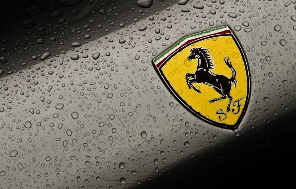 Picture drops, macro, background, logo, cars, emblem, ferrari, coat of arms, Ferrari, cars, auto wallpapers, car …