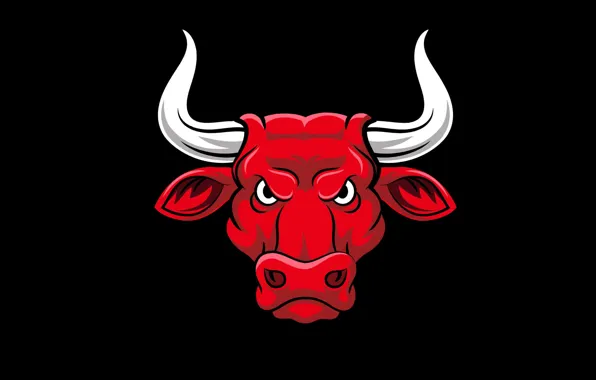Picture horns, black background, bull, bull