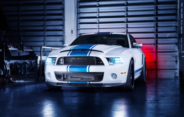 Picture Mustang, Ford, Shelby, GT500, Front, Snake, White, Super