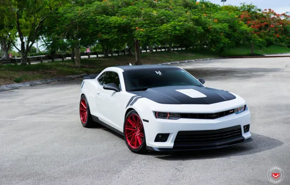 Picture Chevrolet, Camaro, Forged, 1LE, Vossen
