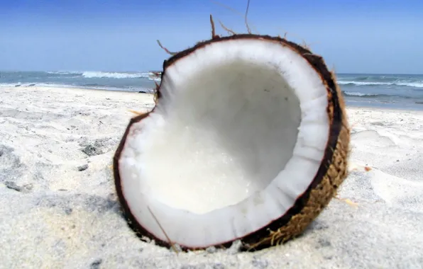 Picture sand, beach, nature, coconut