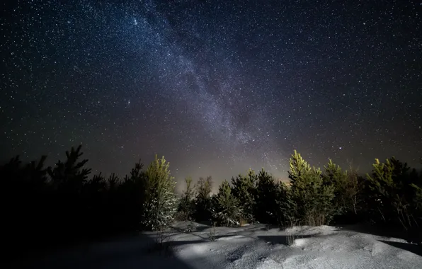 Picture winter, snow, night, stars, the milky way