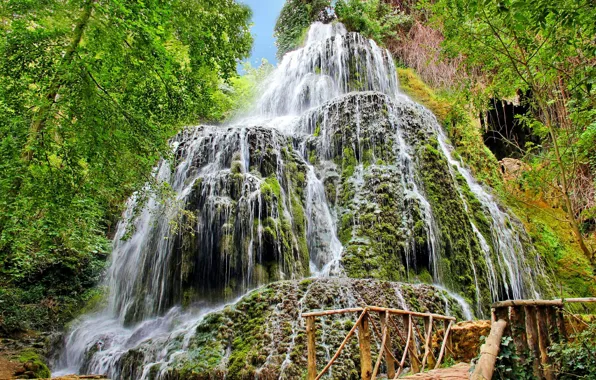 Picture greens, forest, waterfall, spring
